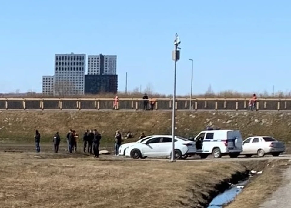 В парке Заречный в Тюмени обнаружили труп девушки.