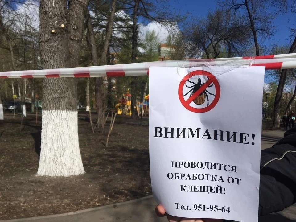 Обработка территорий будет проведена при благоприятных погодных условиях Фото: Администрация Самары