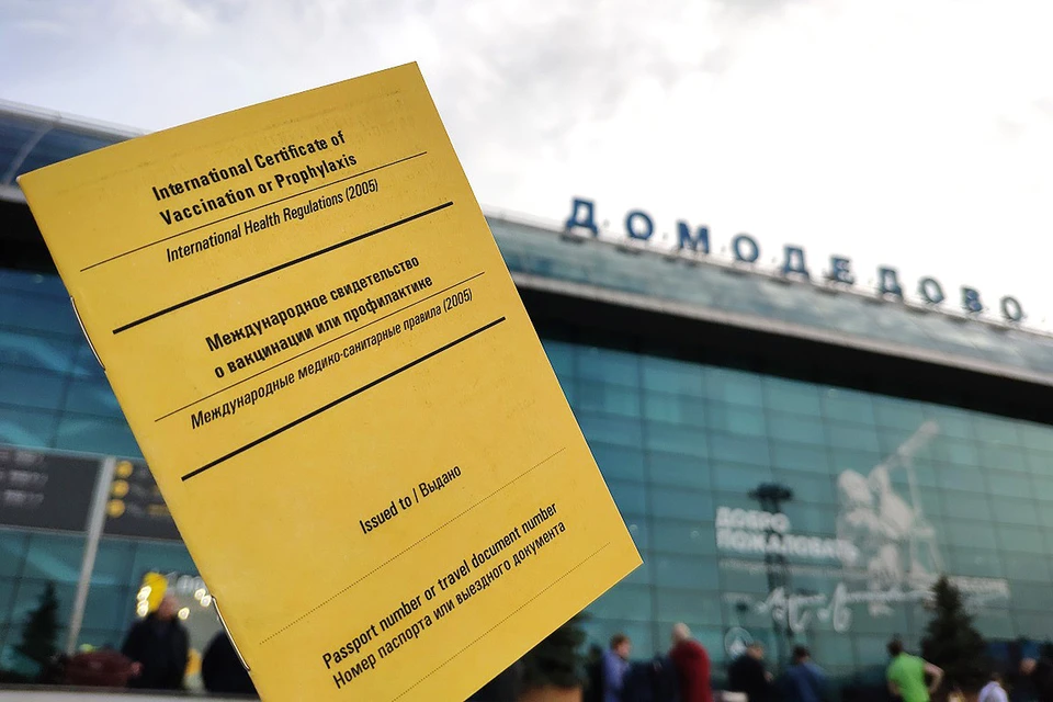 В "Домодедово" началась выдача паспортов вакцинации по стандартам Всемирной организации здравоохранения. Фото: пресс-служба "Домодедово"