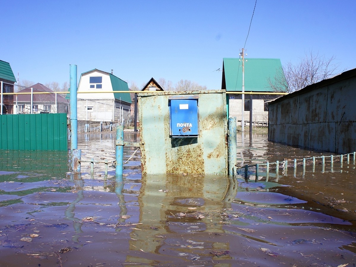 Кооперативная поляна в Уфе продолжает уходить под воду: за сутки подтопило  еще 9 участков - KP.RU