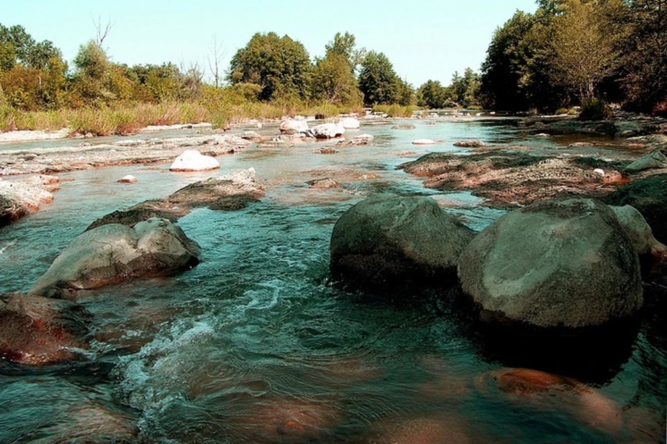 Фото: admkrai.krasnodar.ru