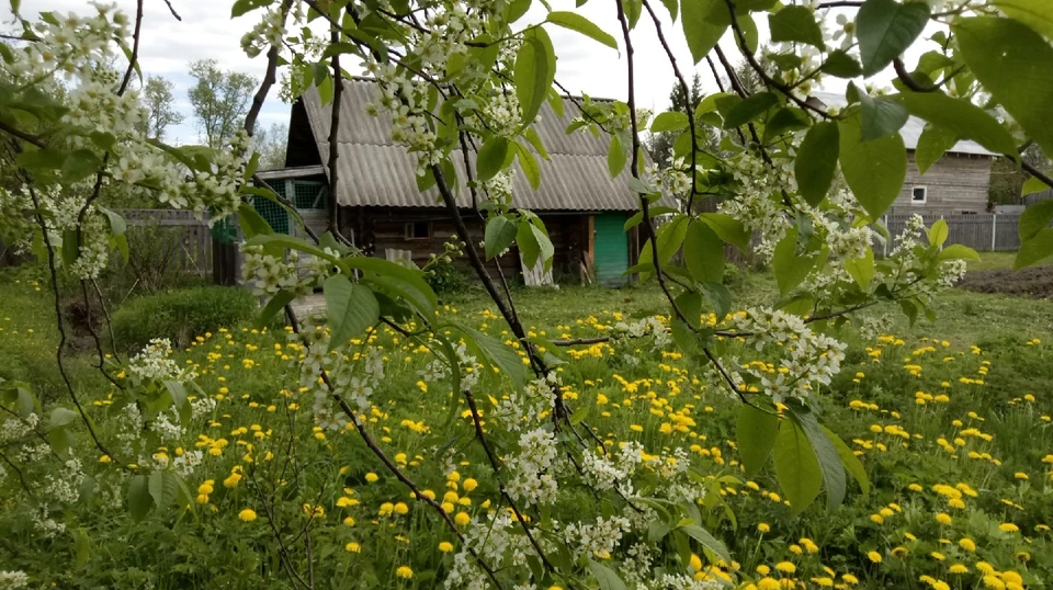 Дачники скоро ринутся на природу