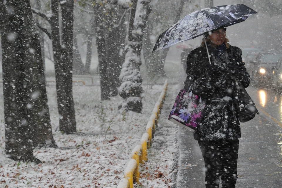 В Брянской области 24 апреля ожидают мокрый снег.