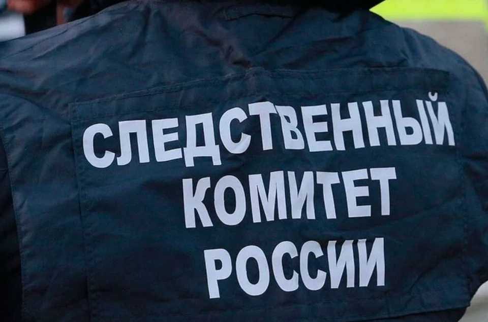 В организации и по месту жительства подозреваемого проведены обыски
