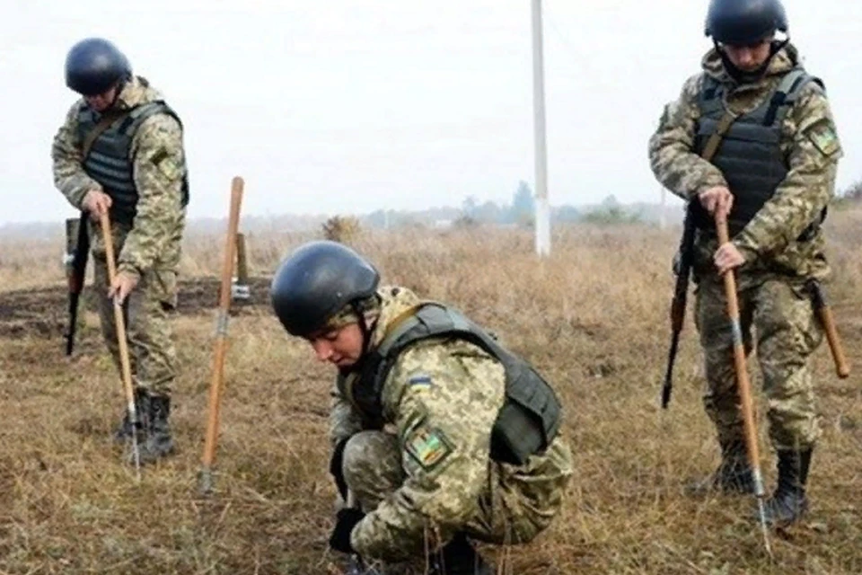 По приказу командования украинские военные уточняли карту минных полей. Фото: штаб «ООС»
