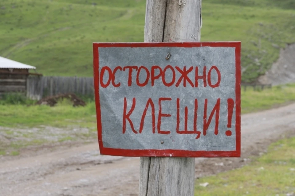 В регионе начались противоклещевые обработки
