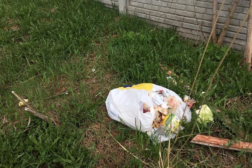 В брянский ботанический сад кинули пакет с мусором . Фото: "ботанический сад им. Б.В. Гроздова", vk.com.