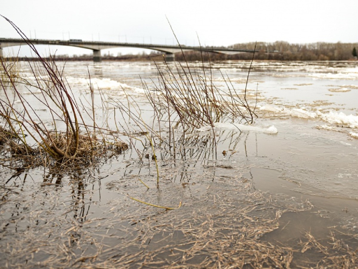 Вода в реке вятка. Река Вятка. Уровень воды в Вятке 2023 год. Дно реки Вятка. Уровень воды в реке Луга в 1993 году.