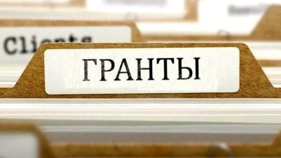 Активные организации получат средства на воплощение своих идей
