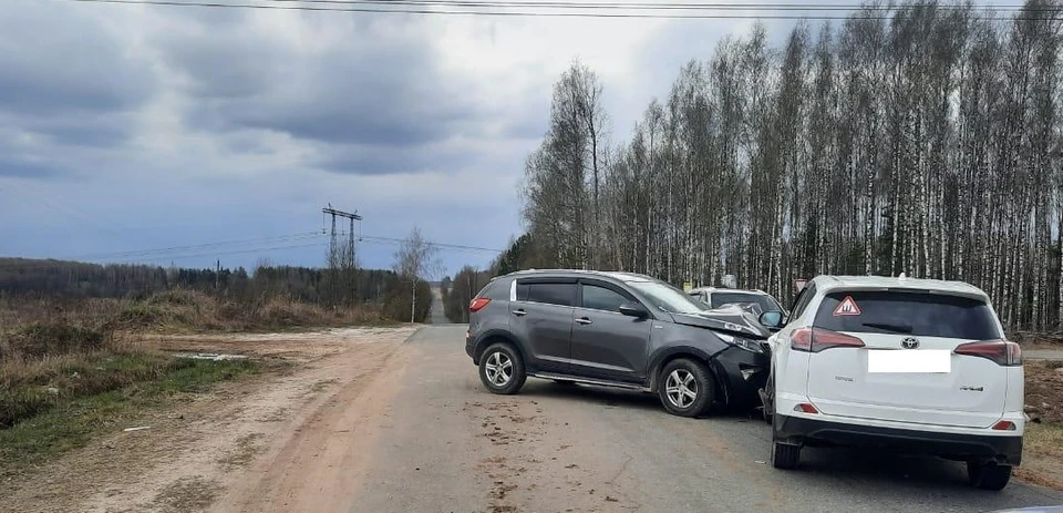 Фото: УГИБДД УМВД России по Владимирской области