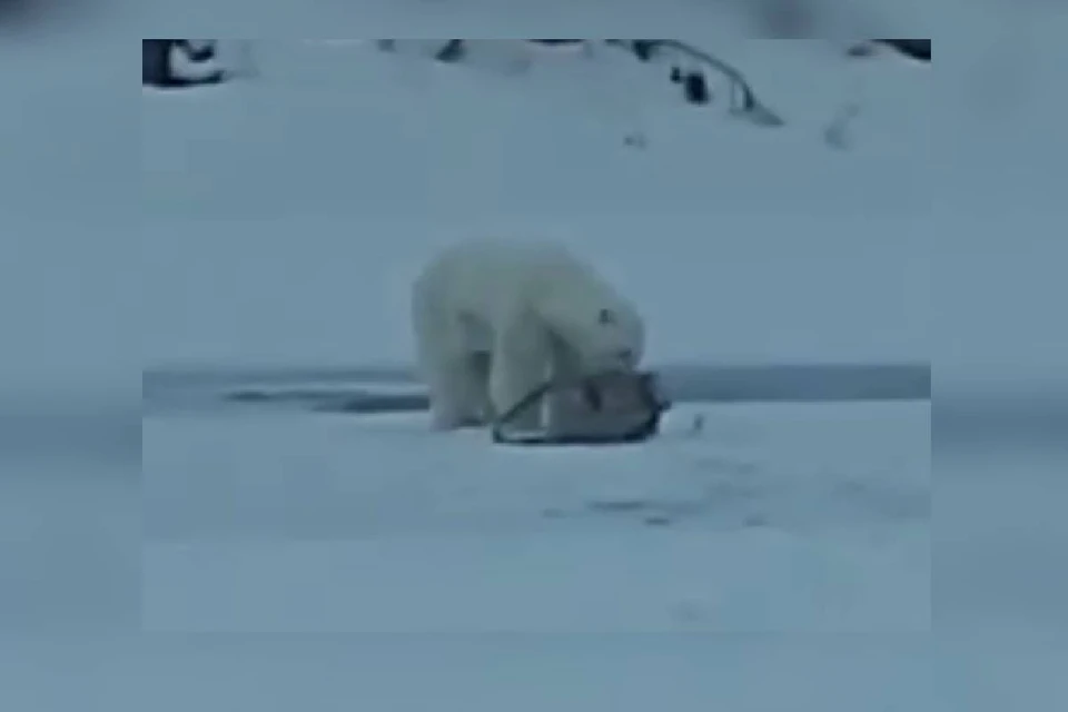 Скриншот с видео