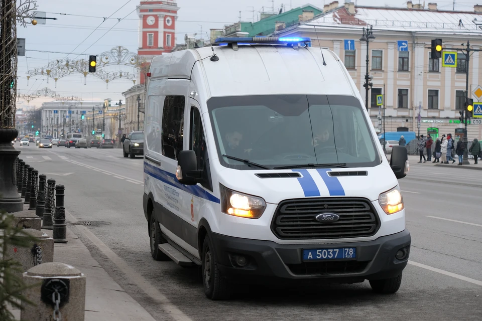 Водитель, простреливший руку пешеходу на проспекте Просвещения, попал под уголовно дело