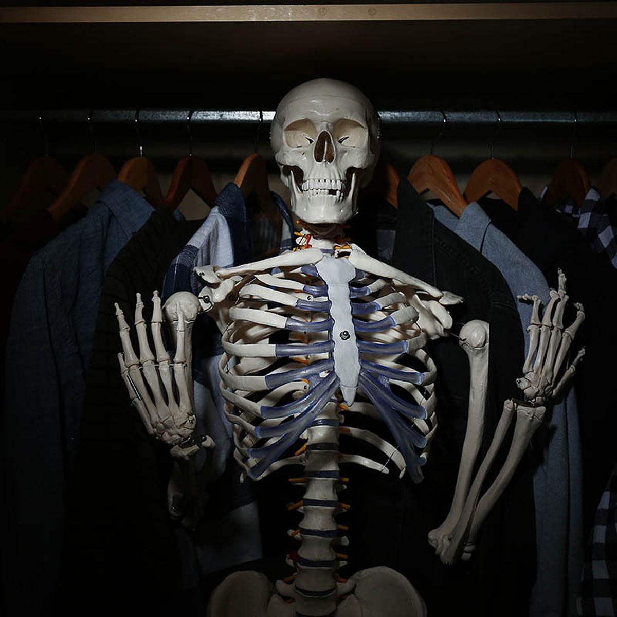 У всех свои скелеты в шкафу