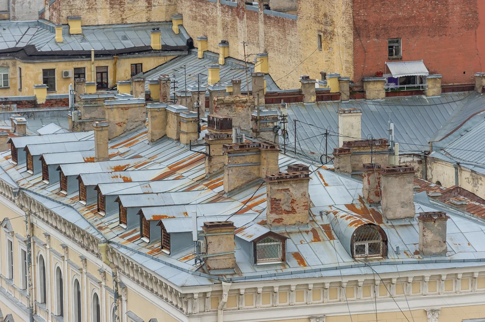 Нелегальные гиды по крышам Петербурга подрались из-за экскурсионной площадки