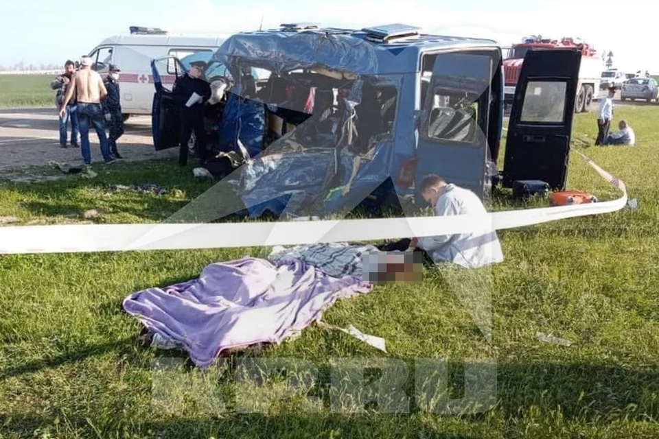 Фото: предоставлено кп очевидцем