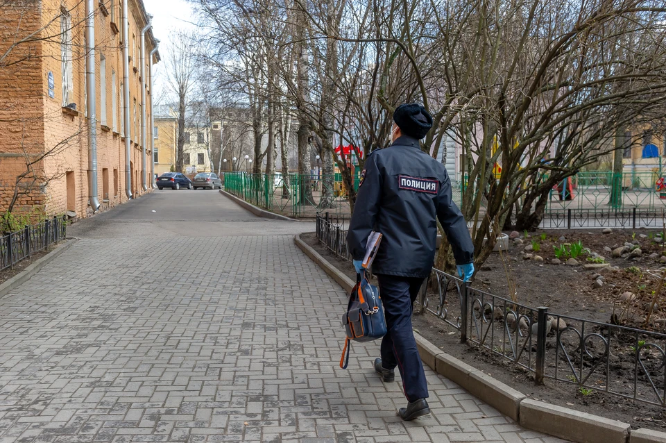 Петербург проверка