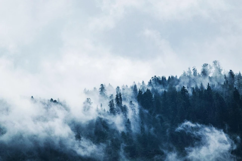 Фото: pexels.com