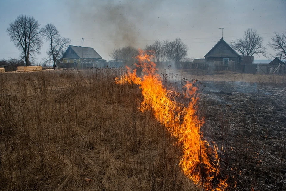 В сухую погоду огонь с сухостоя может быстро перекинуться на дома. Фото: МЧС ДНР