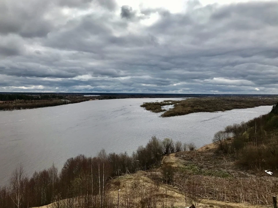 Погода в Коми не радует. серо, сыро и зябко. Фото: Марина Залесская.