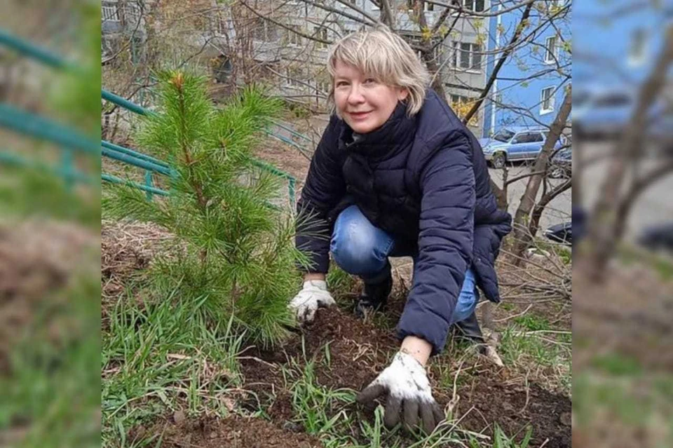 Жители города высадили кедры на придомовых территориях. Фото: предоставлено управлением содержания жилищного фонда.