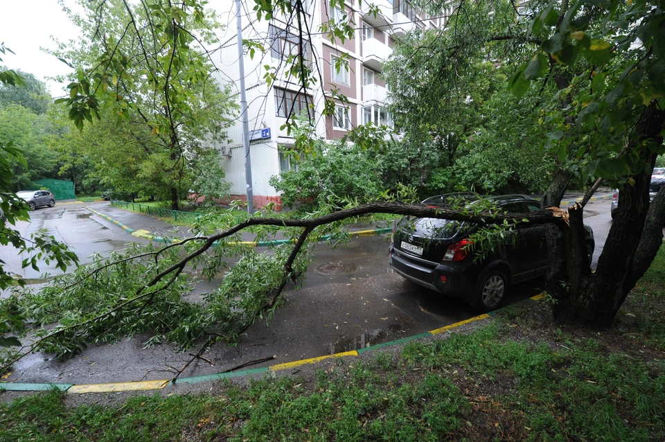 Не следует парковать автотранспорт вблизи деревьев и рекламных щитов - при сильном ветре они представляют большую опасность.