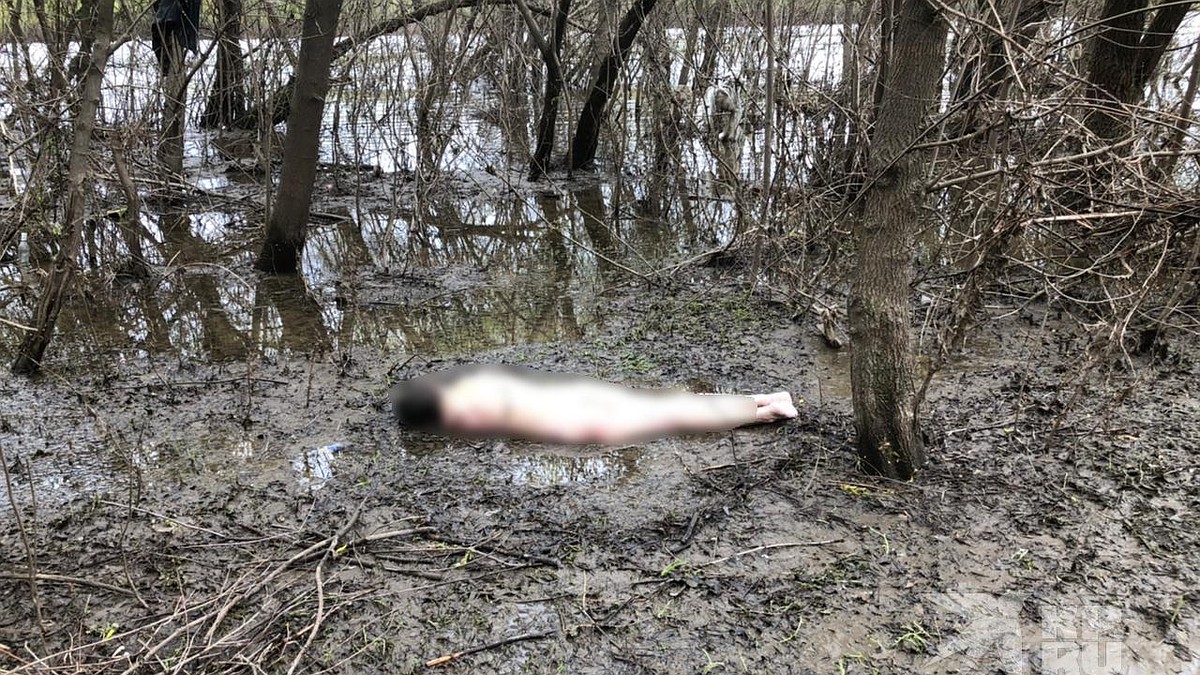 Трупы голых девушек 