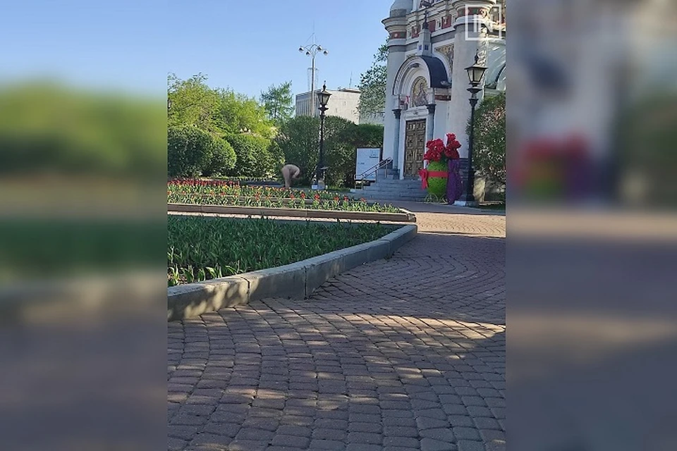 Фото: группа ВКонтакте Инцидент Екатеринбург