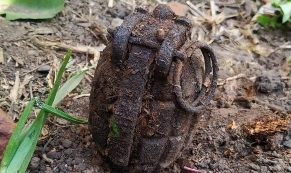 Житель Ишима в огороде нашел гранату 1915 года. Фото - пресс-служба Управления Росгвардии по Тюменской области.