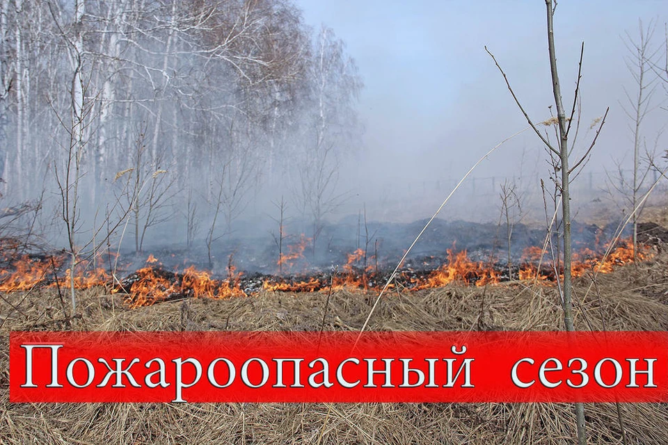 Фото: МЧС России по ЯНАО