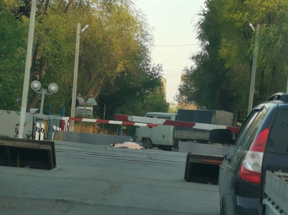 Фото из тг-канала "ЧП-Саратов"