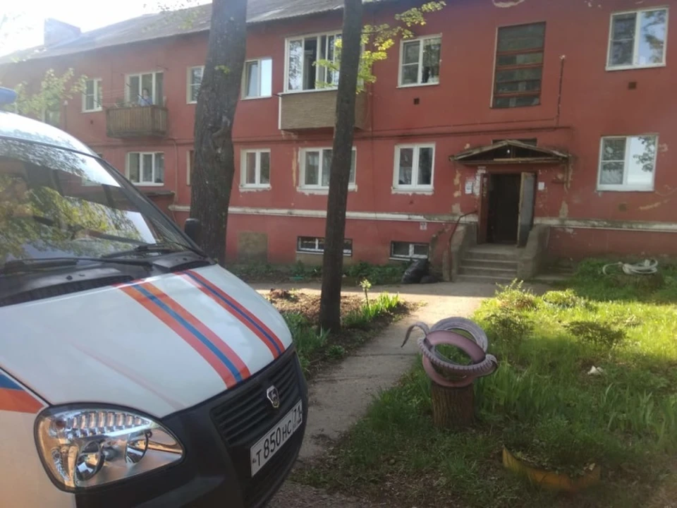 Пожар в Щекинском районе Тульской области был потушен самостоятельно, но есть погибший