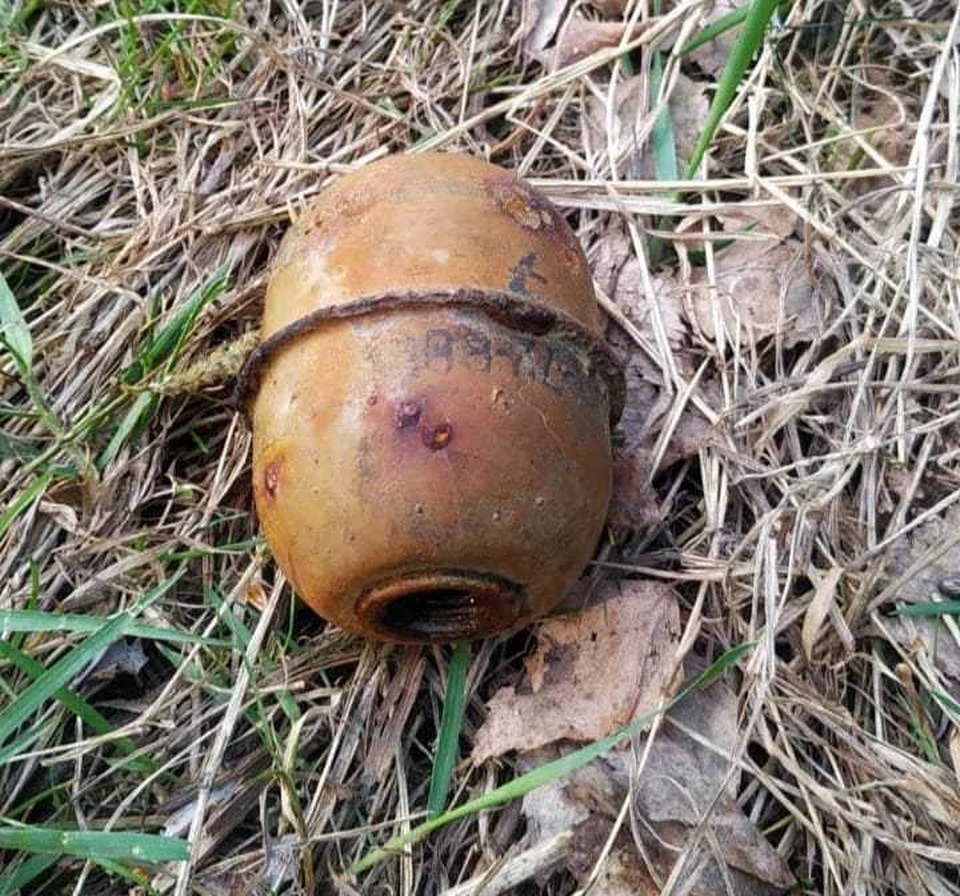 В парке Тюмени прохожий нашел гранату.