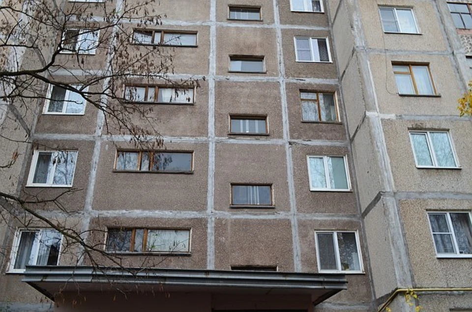 В какой-то момент ребенок облокотился на москитную сетку