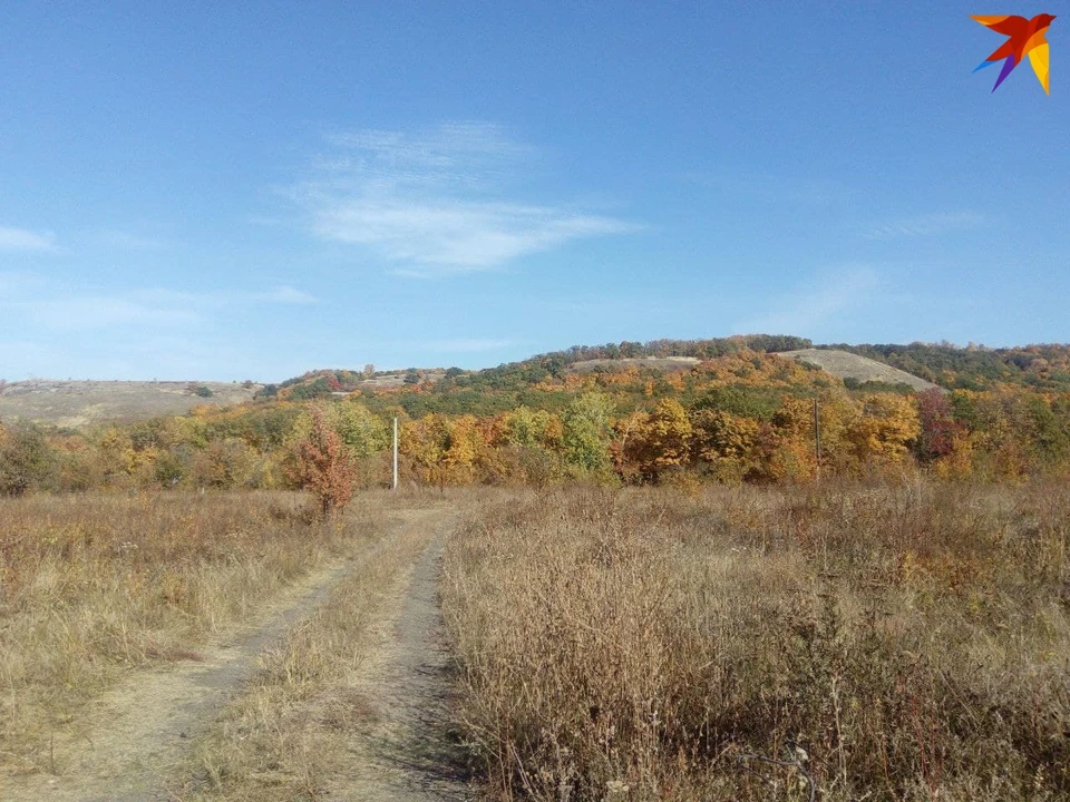 В Саратовской области ограничено пребывание граждан в лесах