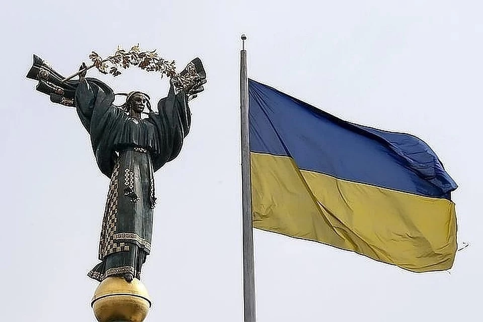 Сенатор назвал «сотрясением воздуха» слова Зеленского о референдуме в Донбассе