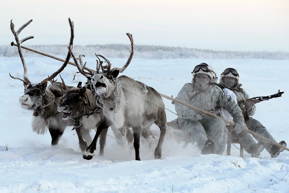 Кто владеет Арктикой, владеет миром. Фото: Лев Федосеев/ТАСС
