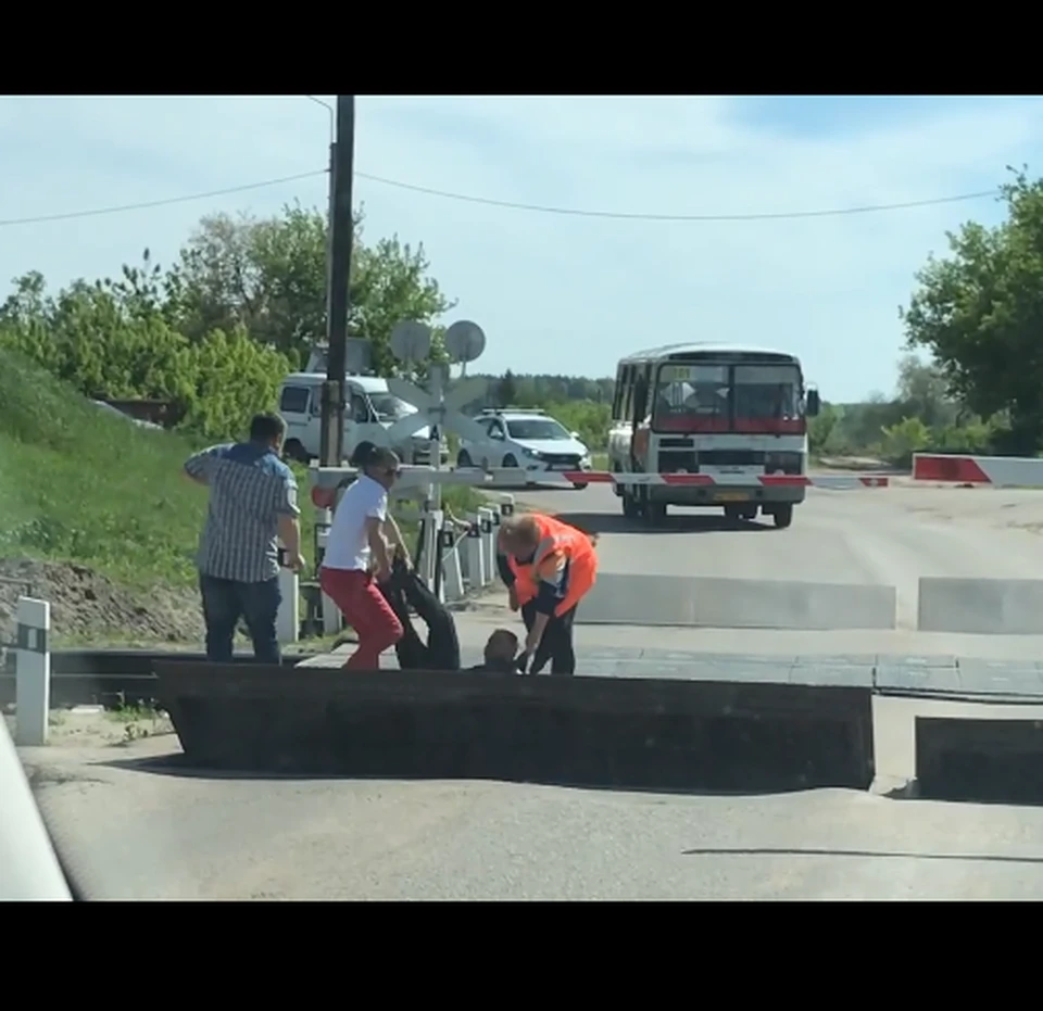 Скрин видео, соцсети