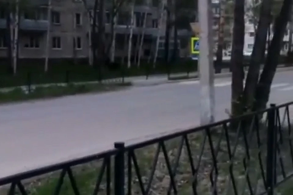 «Вот это он носится»: по поселку Хабаровского края прогулялся медведь. Фото: скриншот с видео.