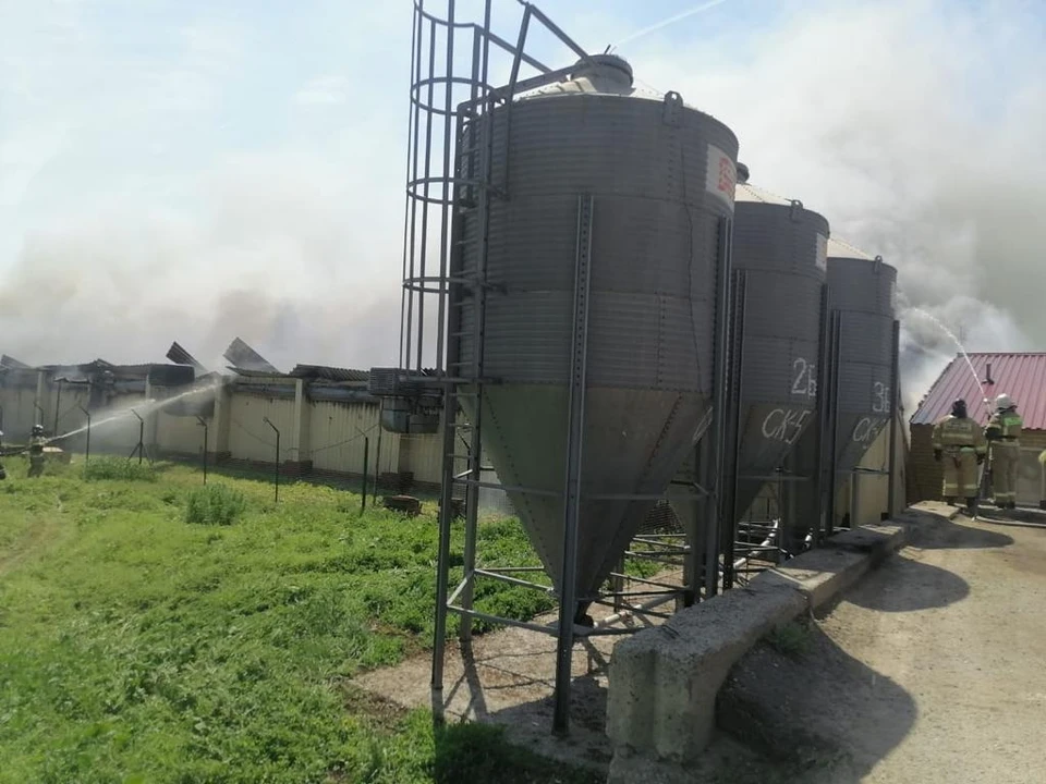 ЧП произошло в хуторе Гусев Фото: пресс-служба МЧС России по РО