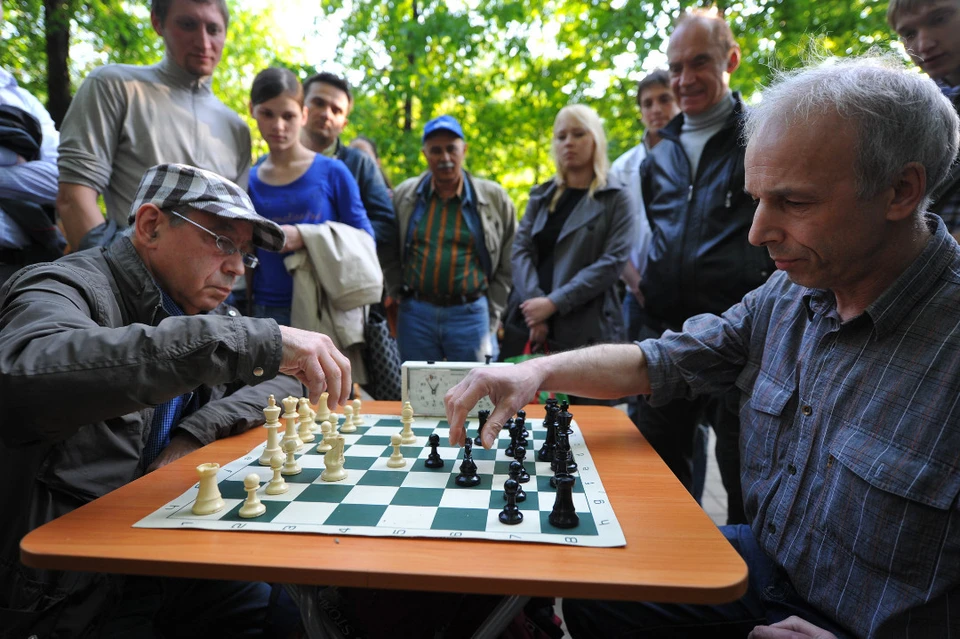 Многим отлично известны классические шахматы, но есть и множество других вариантов, в том числе с "медведями".