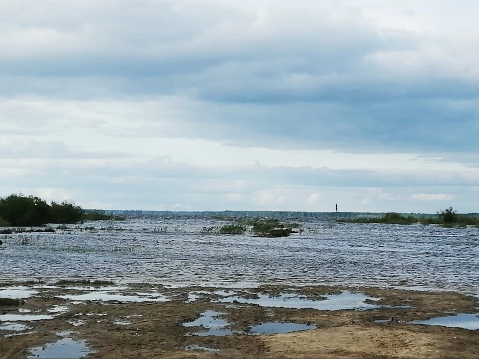 Поиски ведутся с воды и с использованием квадрокоптера. Фото: страница Вологодский район ВКонтакте