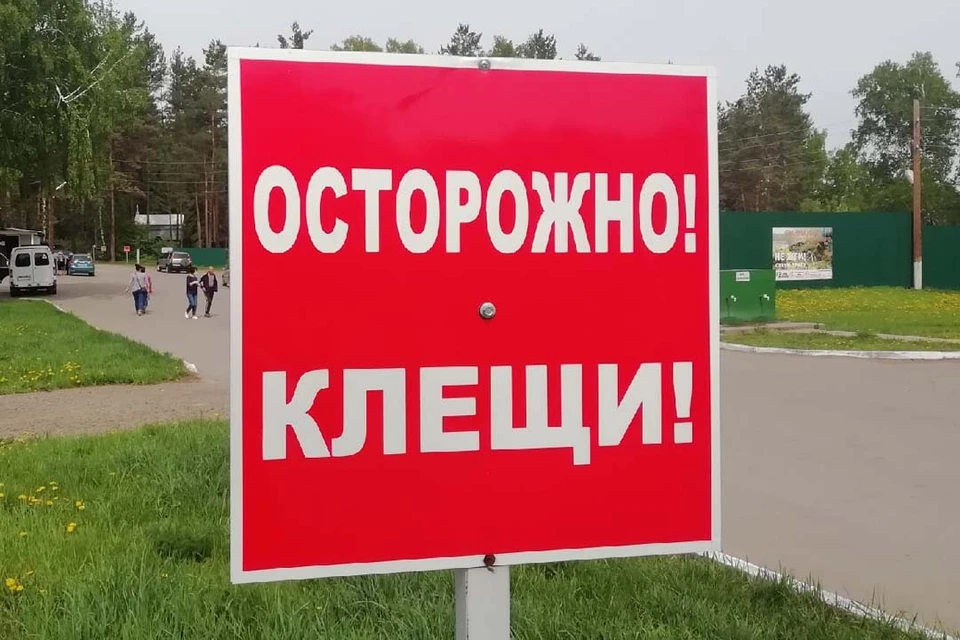 Пик активности клещей набирает обороты