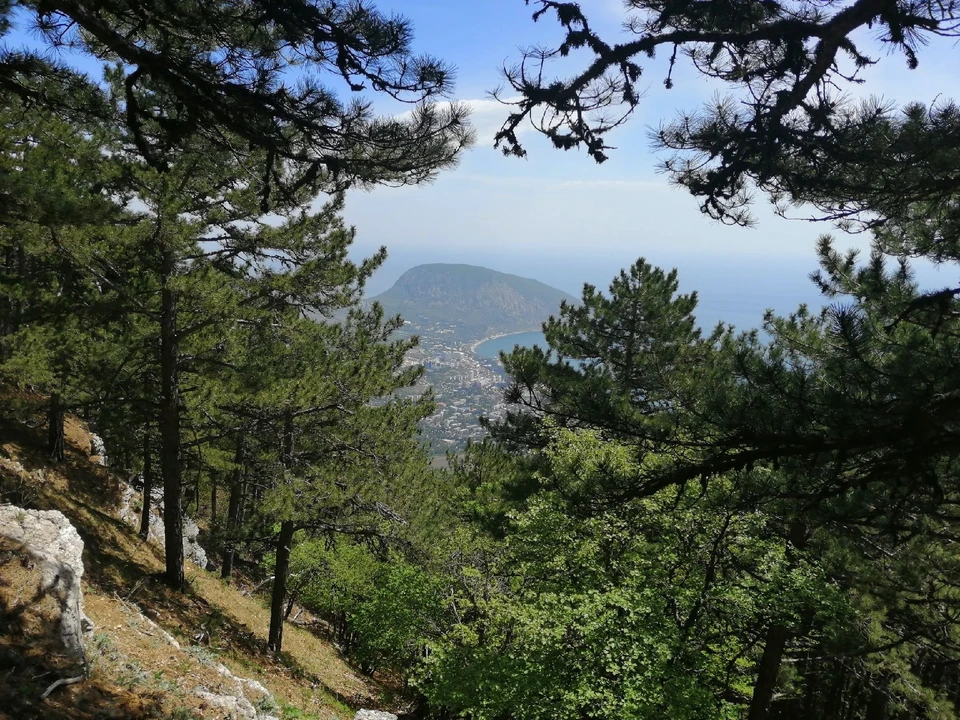На ЮБК днем тепло до +23°