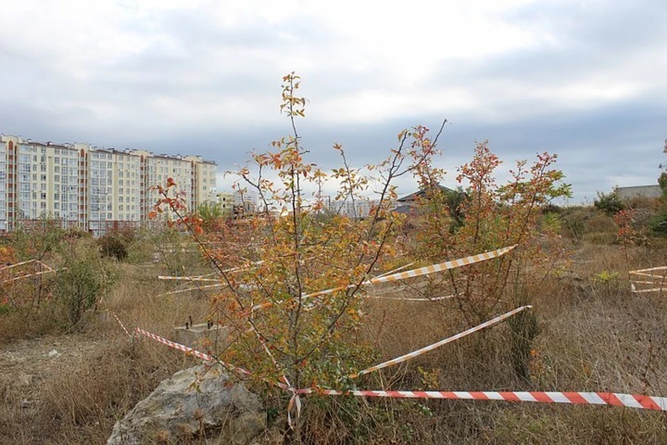 Фото: архив "КП"-Севастополь"