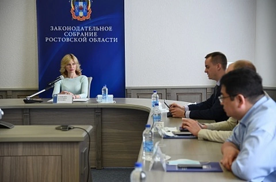 Депутат областного Заксобрания Екатерина Стенякина вместе с коллегами обсудила меры поддержки донских молодежных организаций. Фото: пресс-служба ЗС РО