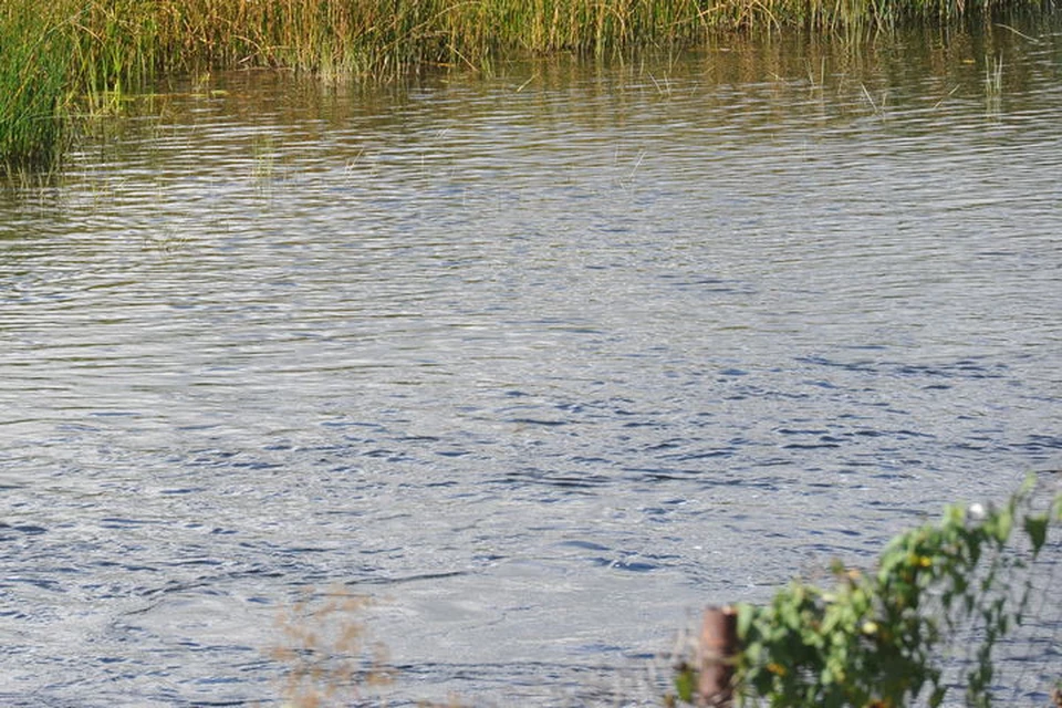 Женщина упала в воду и исчезла.