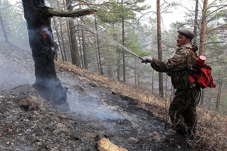 В Иркутской области горят леса.