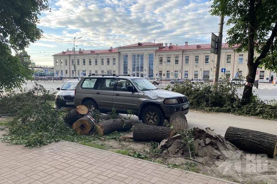 В центре Рязани не могут убрать бревна дерева, которое сняли с иномарки.