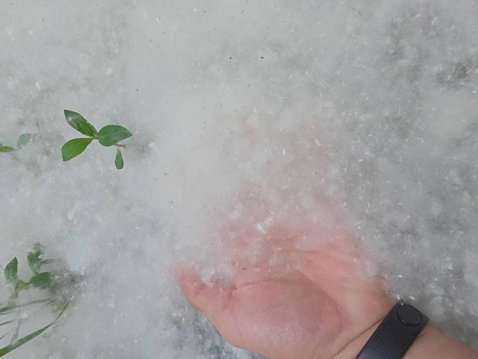 Салават Хисматуллин/Facebook.