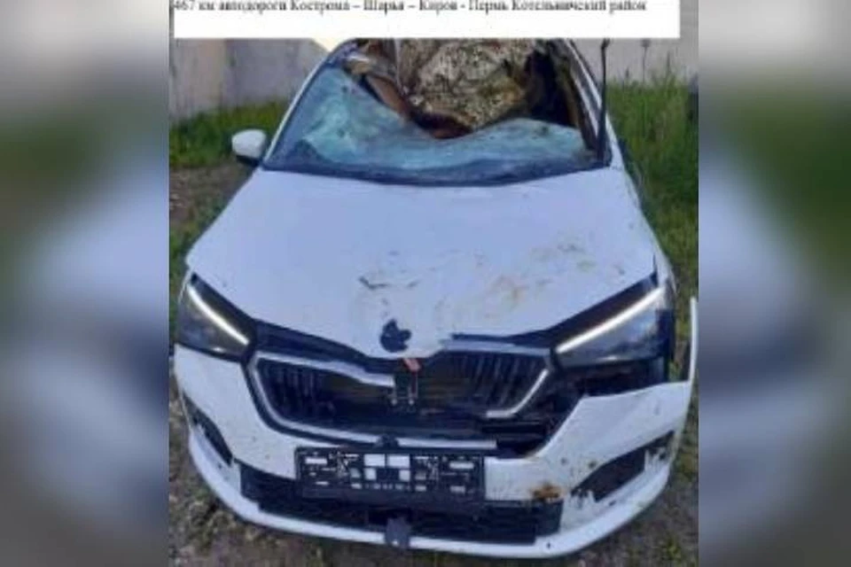 При столкновении с лосем автомобиль «Шкода Рапид» получил серьезные повреждения. Фото: vk.com/gibdd43